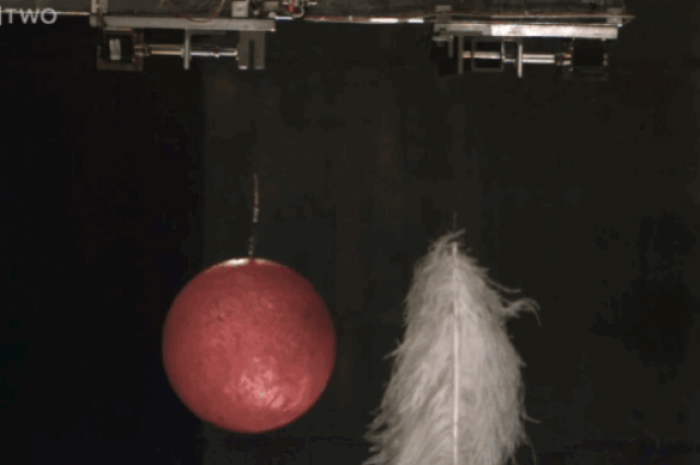 Watch A Bowling Ball And Feather Falling In A Vacuum